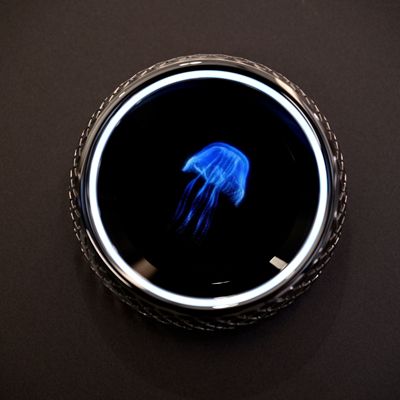 c鿴Ԕ(x)Ϣ(bio)}Ħȫϵ xΔ(sh)113